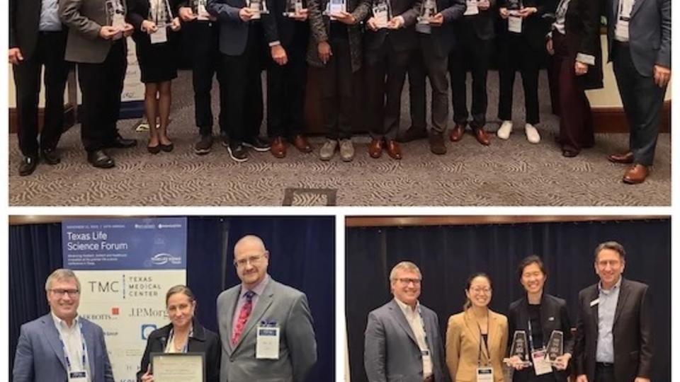 TLSF 2025 Most Promising